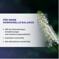 Dr. B&ouml;hm Traubensilberkerze 6.5mg Filmtabletten, 60 Stk., Apomedica Pharmazeutische Produkte GmbH