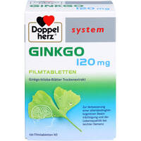 Doppelherz Ginkgo 120 mg system, 120 st, Queisser Pharma GmbH & Co. KG