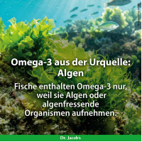 Dr. Jacob's DHA-EPA-Algen&ouml;l Kapseln Omega-3-Fetts&auml;uren vegan, 60 st, Dr. Jacob's Medical GmbH