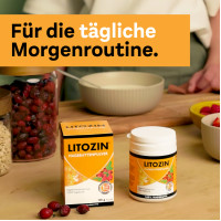 Litozin Hagebuttenpulver, 130 g, Queisser Pharma GmbH & Co. KG