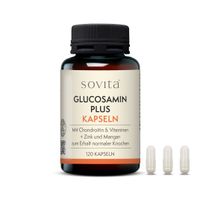 sovita Glucosamin plus Kapseln, 120 st, Ascopharm GmbH