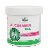 Glucosamin Gel, 250 ml, Axisis GmbH