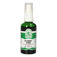 Solidagospray, 50 ml, Hecht-Pharma GmbH