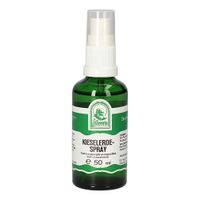 Kieselerdespray, 50 ml, Hecht-Pharma GmbH