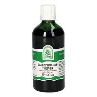 Caulophyllumtropfen, 100 ml, Hecht-Pharma GmbH