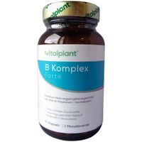 Vitamin B Complex Forte Vitalplant, 90 st, Vitalplant GmbH