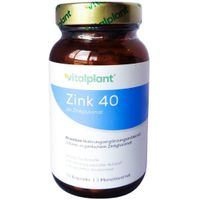 Zink 40MG Vitalplant, 90 st, Vitalplant GmbH