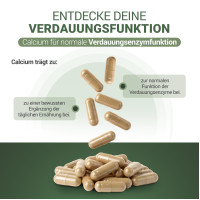 PADMA DigesTib, 60 st, Hager Pharma GmbH