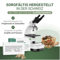 PADMA NervoTib, 60 st, Hager Pharma GmbH