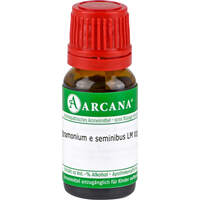 Stramonium e seminibus LM 21, 10 ml, ARCANA Dr. Sewerin GmbH & Co. KG
