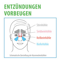miradent Xylimed Nasenspray natürlich, 45 ml, Hager Pharma GmbH