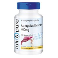 Astragalus Extrakt 400mg, 120 st, Somatem GmbH