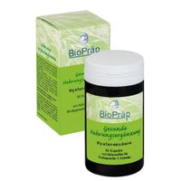 Hyaluronsäure Kapseln, 60 st, BioPräp Biolog.Präp.Handelsges.mbH
