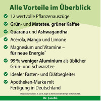 Chi-Tea Wellness Tee Guarana gr&uuml;ner Tee Akazienfaser Acerola, 180 g, Dr. Jacob's Medical GmbH