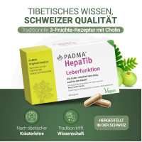 PADMA HepaTib Kapseln, 60 st, Hager Pharma GmbH