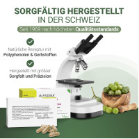 PADMA HepaTib Kapseln, 60 st, Hager Pharma GmbH