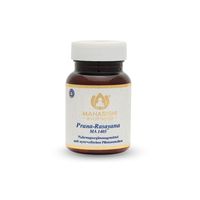 Prana Rasayana, 20 g, Maharishi Ayurveda Europe B.V.
