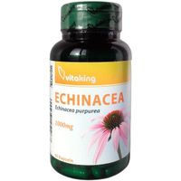 Echinacea 1000mg, 90 st, Vitaking GmbH