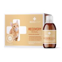 RECOACTIV Recovery Renal Katze, 3x90 ml, Recovet GmbH