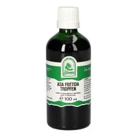ASA FOETIDA TROPFEN, 100 ml, Hecht-Pharma GmbH
