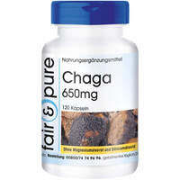Chaga 650mg, 120 st, Somatem GmbH