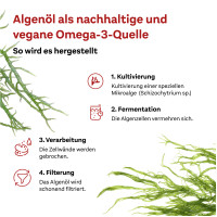 Doppelherz Omega-3 Pflanzlich system, 120 st, Queisser Pharma GmbH & Co. KG