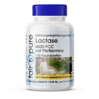 Lactase 4500 FCC mit Pfefferminz, 120 st, Somatem GmbH