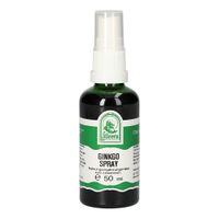 GINKGO SPRAY, 50 ml, Hecht-Pharma GmbH