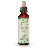Bachbl&uuml;ten 33 Walnut Original, 10 ml, Nelsons GmbH