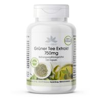 Gr&uuml;ner Tee Extrakt 750mg, 100 st, Warnke Vitalstoffe GmbH