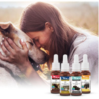 Bachbl&uuml;ten Tiere Tropfen Erste Hilfe, 20 ml, Hager Pharma GmbH