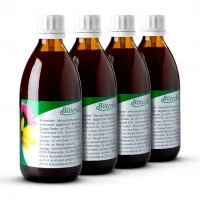 Bitterkaft Original, 4x200 Milliliter, Bitterkraft GmbH