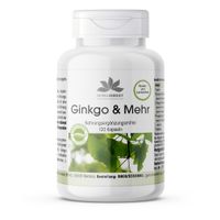 Ginkgo & Mehr, 120 st, Warnke Vitalstoffe GmbH