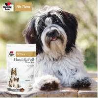 Doppelherz f&uuml;r Tiere Haut&Fell Complex f&uuml;r Hunde, 60 st, Queisser Pharma GmbH & Co. KG