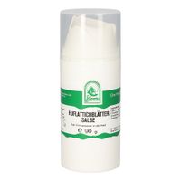 Huflattichblätter Salbe, 90 g, Hecht-Pharma GmbH