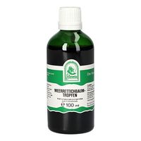 Meerrettichbaum Tropfen, 100 ml, Hecht-Pharma GmbH