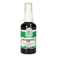 Schlehdornfrüchte Spray, 50 ml, Hecht-Pharma GmbH