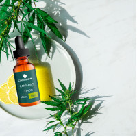 CBD 15% BIO Cannadol Lemon Hanfextrakt, 10 ml, Endower GmbH