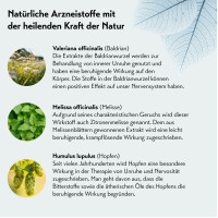 Baldriparan zur Beruhigung, 120 Stk., PharmaSGP GmbH