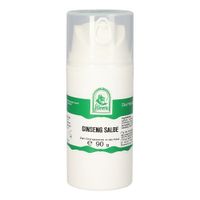 Ginseng Salbe, 90 g, Hecht-Pharma GmbH