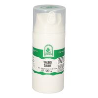 Salbei Salbe, 90 g, Hecht-Pharma GmbH