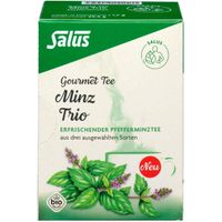 Minz Trio Gourmet Tee bio Salus, 15 st, Salus Pharma GmbH