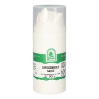 LIMOUSINHOLZ SALBE, 90 g, Hecht-Pharma GmbH