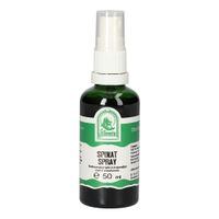 SPINAT SPRAY, 50 ml, Hecht-Pharma GmbH