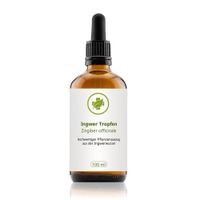 Ingwer Tinktur, 100 ml, vitalundfitmit100 GmbH