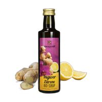 Sonnentor Ingwer-Zitronen Sirup bio, 500 ml, SONNENTOR Kr&auml;uterhandelsgesellschaft m.b.H.