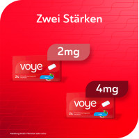 Voye Mint 2 mg wirkstoffhalt. Kaugummi mit Nikotin, 24 Stk., Fertin Pharma A/S