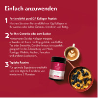 pureSGP Kollagen Peptide, 300 g, PharmaSGP GmbH