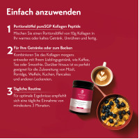 pureSGP Kollagen Peptide, 300 g, PharmaSGP GmbH