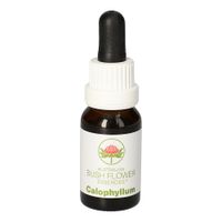 Calophyllum Australische Buschblütenessenz AUB, 15 ml, Leitner Lifecare GmbH